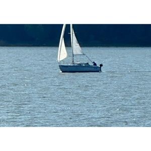 Meet your Posher, Stello